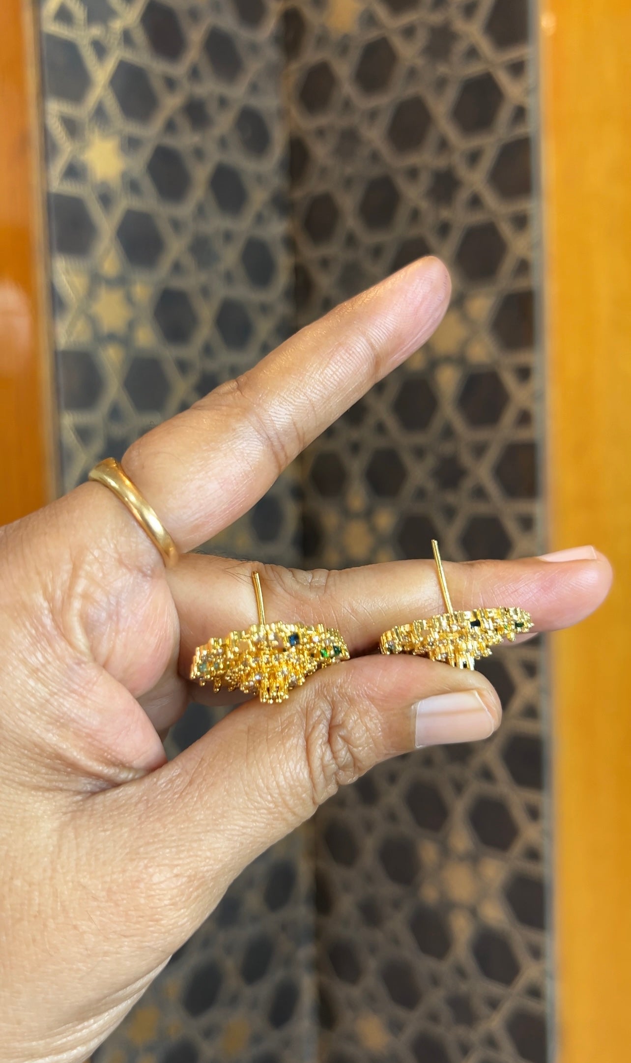 Earrings ER231