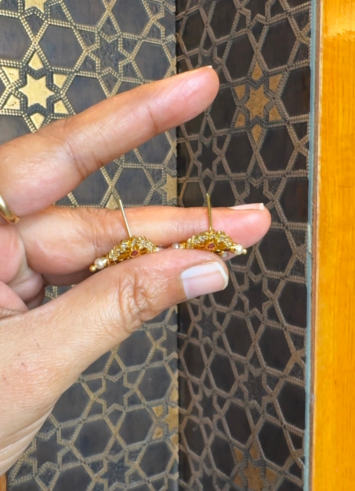 Earrings ER288
