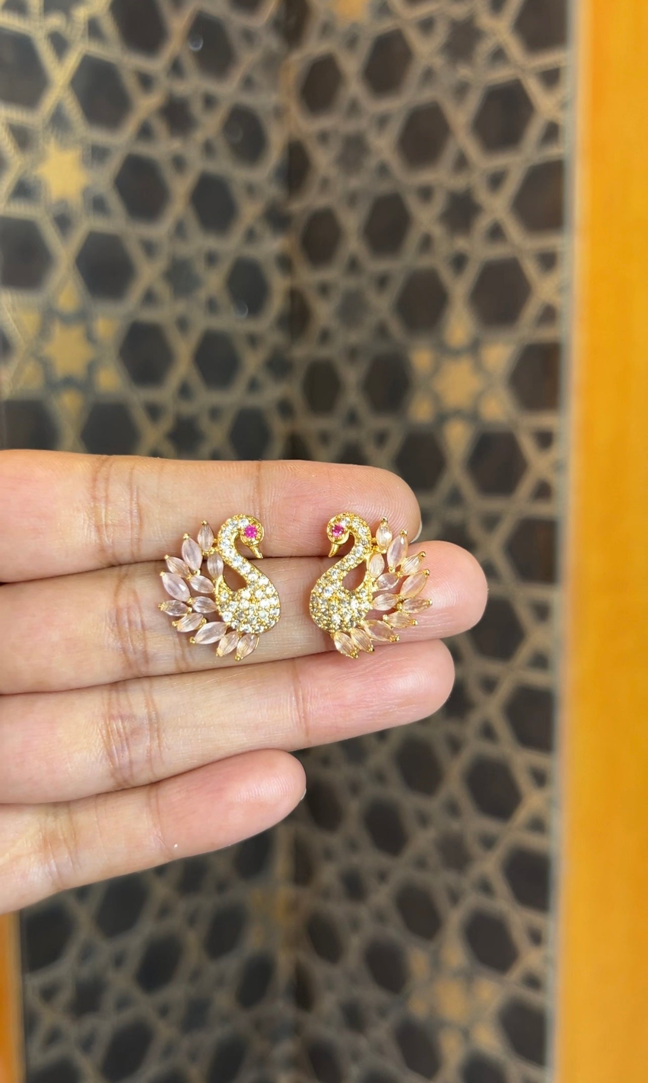 Earrings ER223