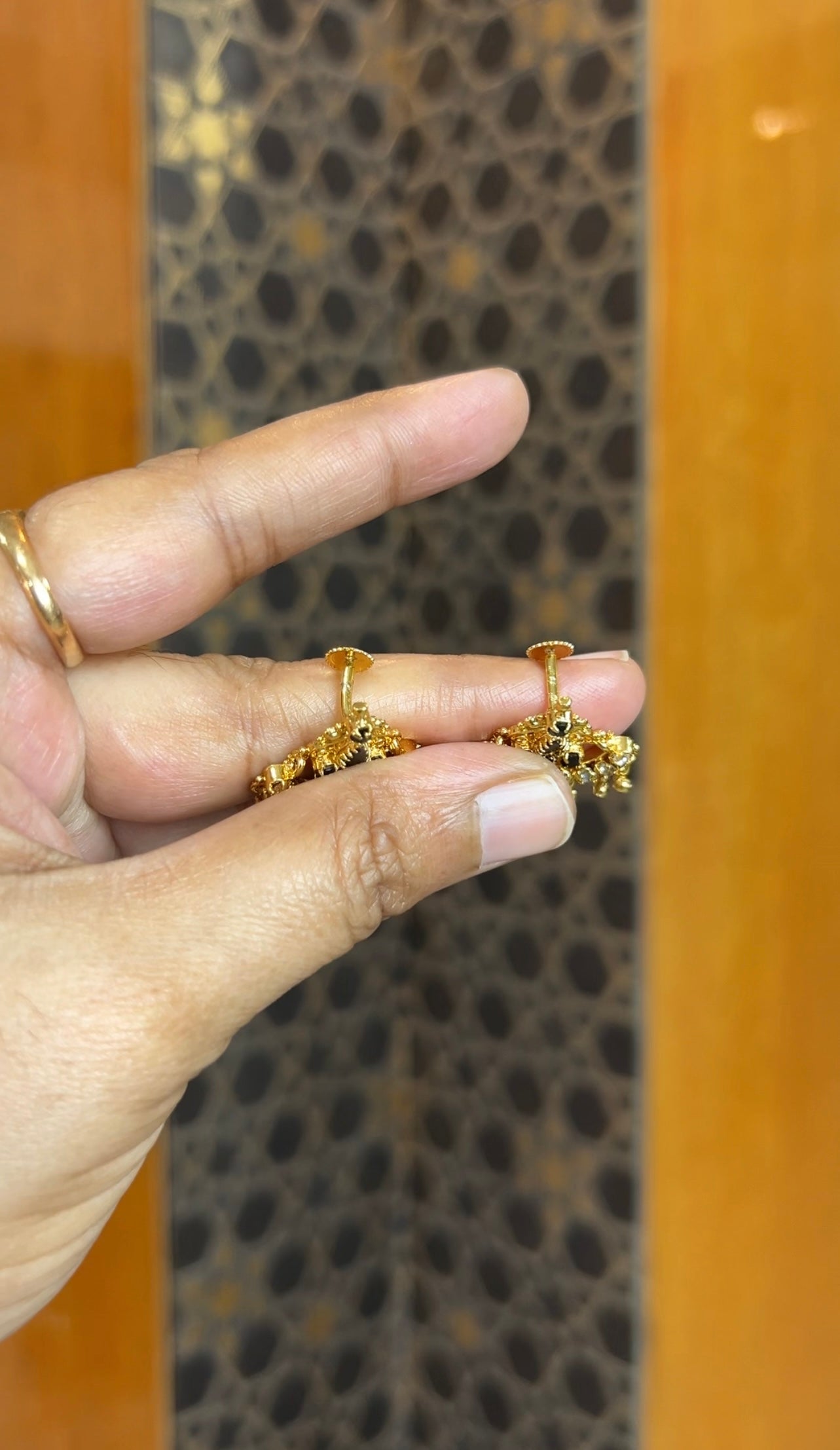 Earrings ER198