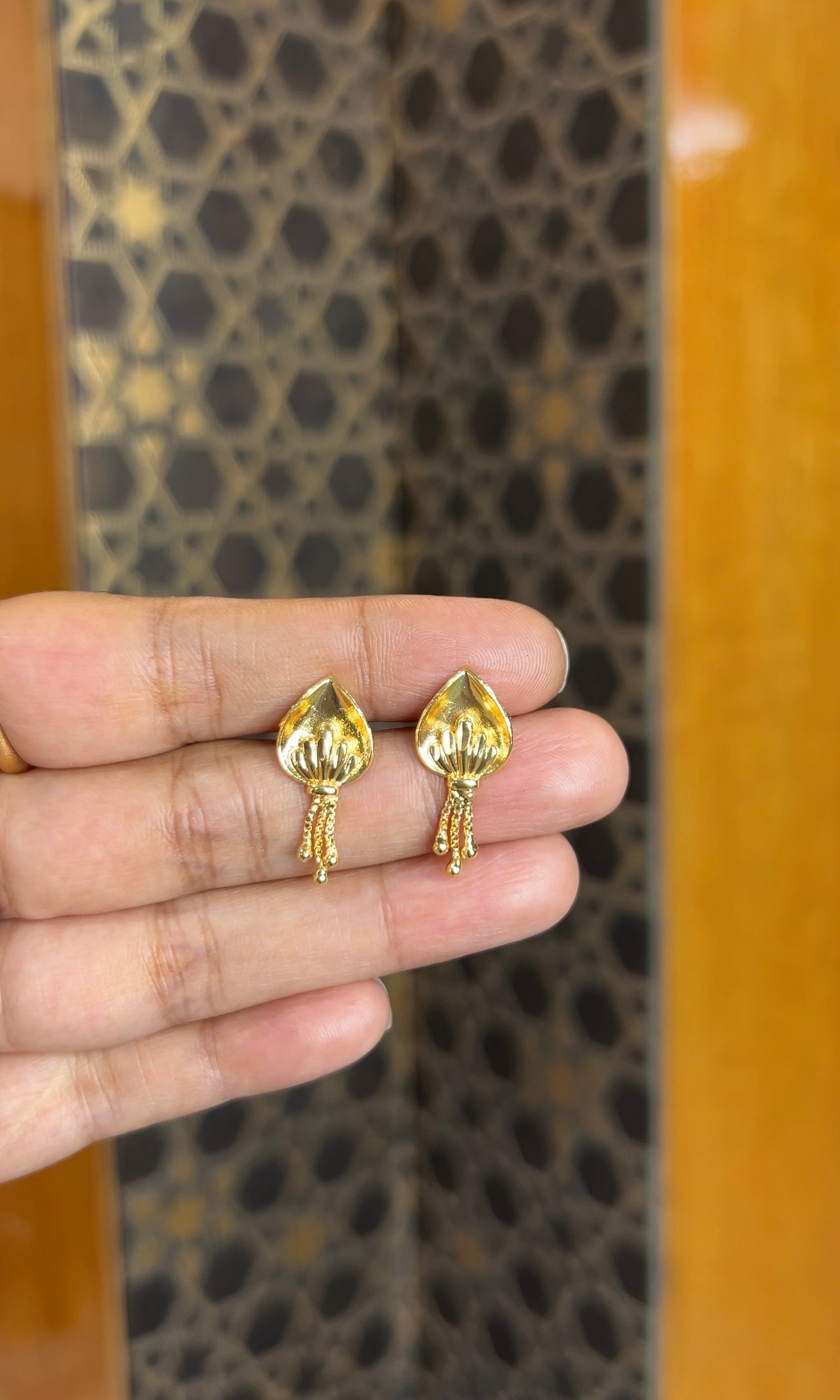 Earrings ER221