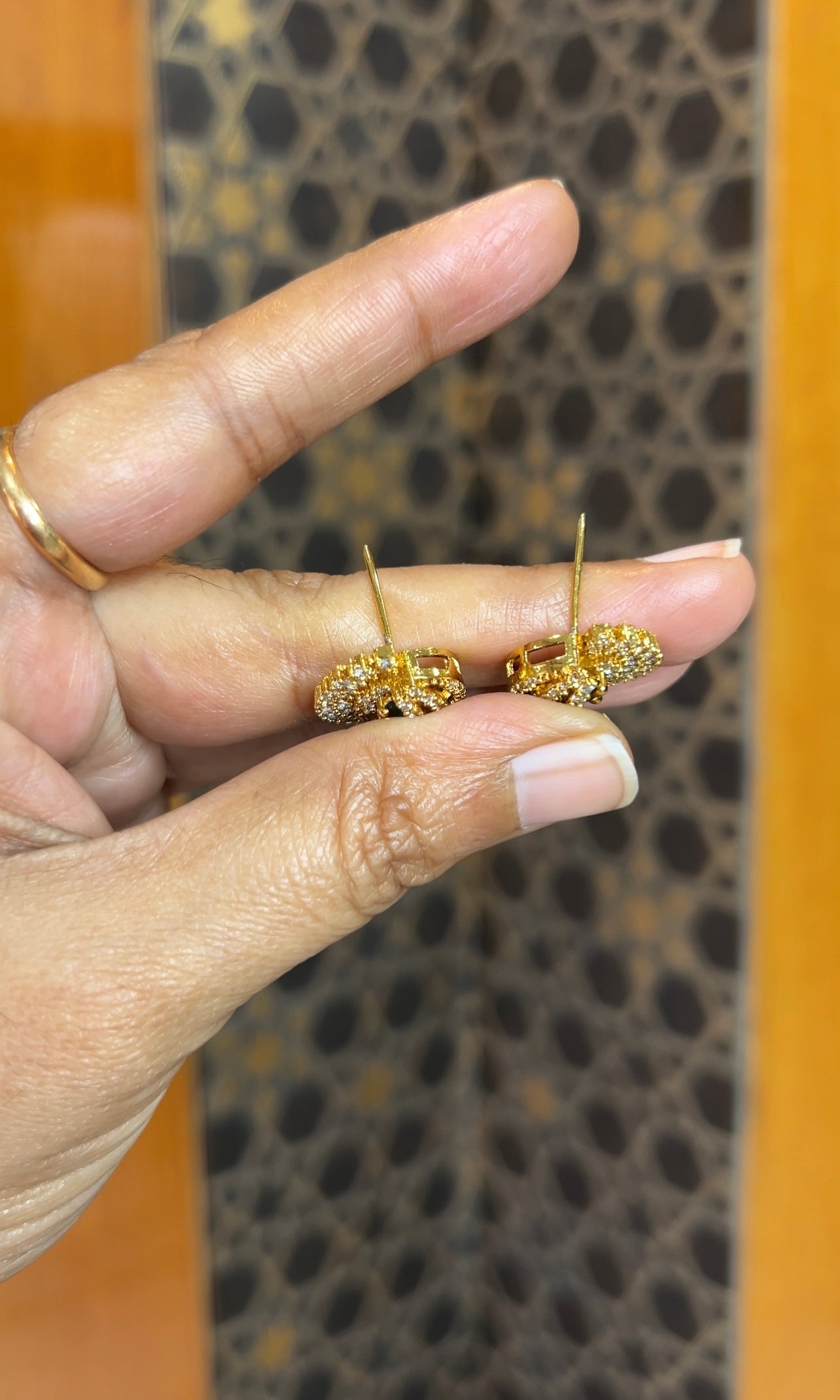 Earrings ER180