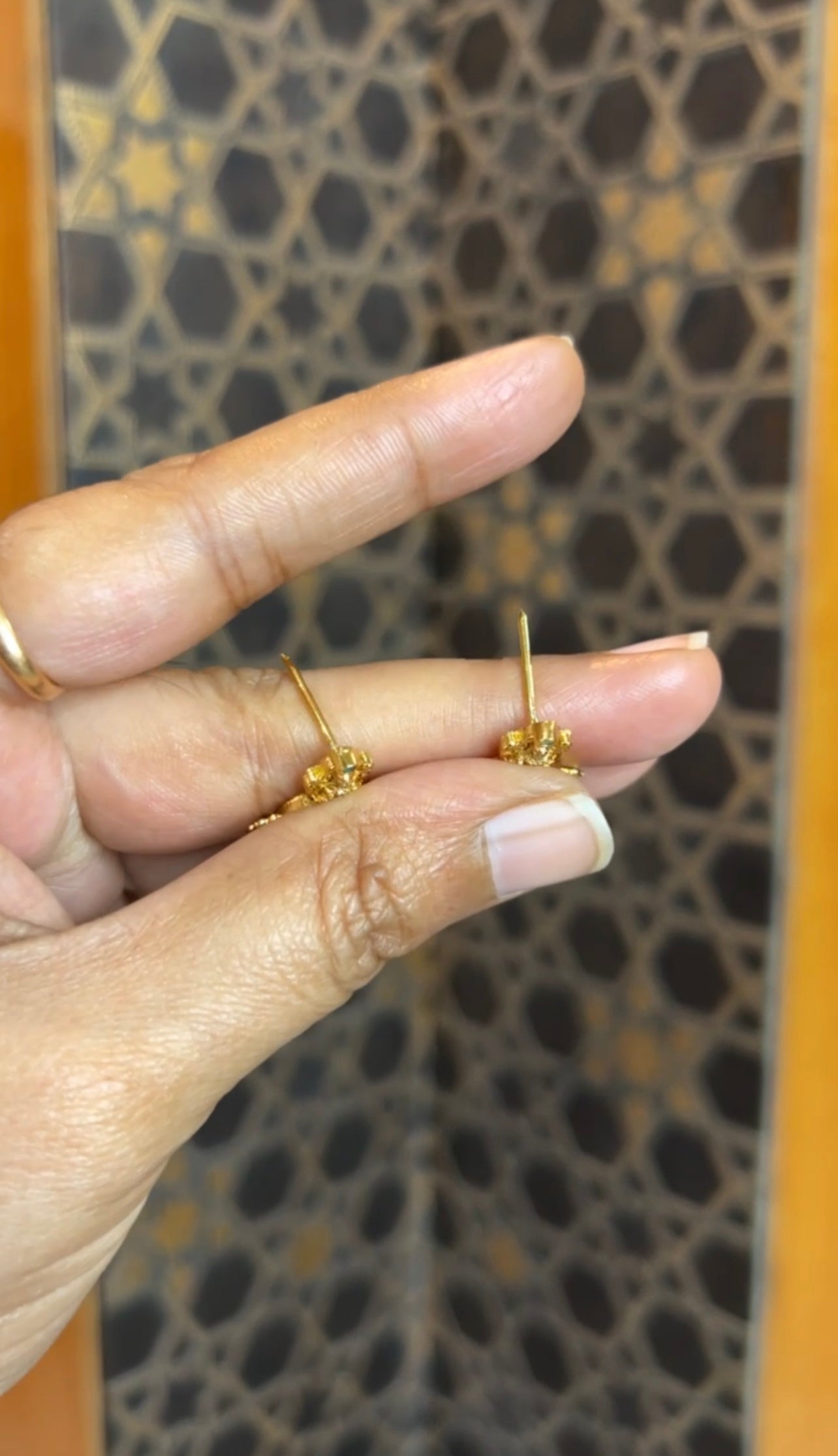 Earrings ER188