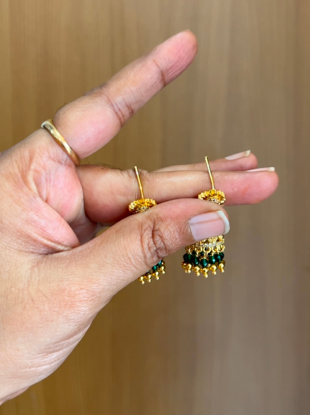 Earrings ER244