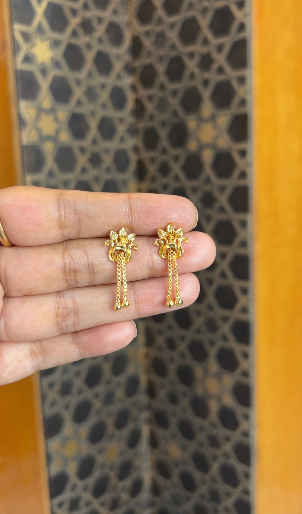 Earrings ER221