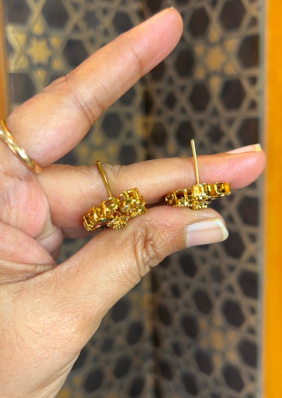 Earrings ER291