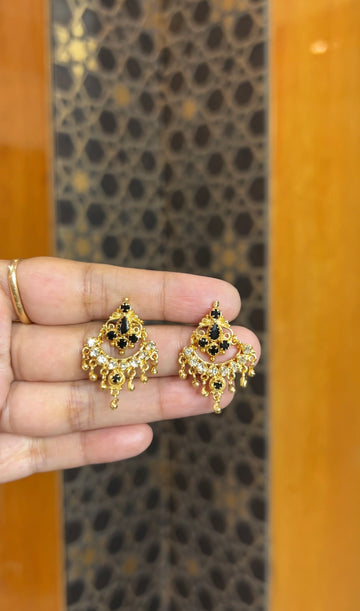 Earrings ER198