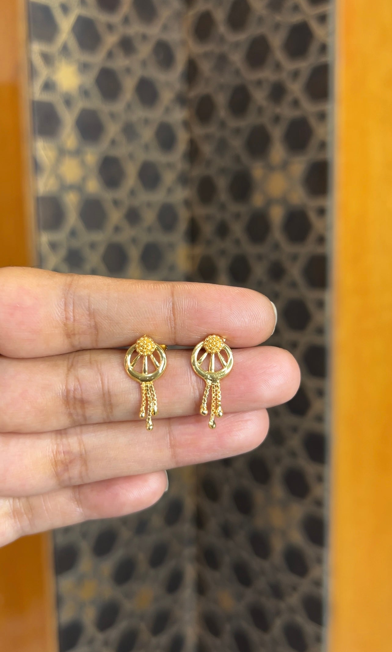 Earrings ER221
