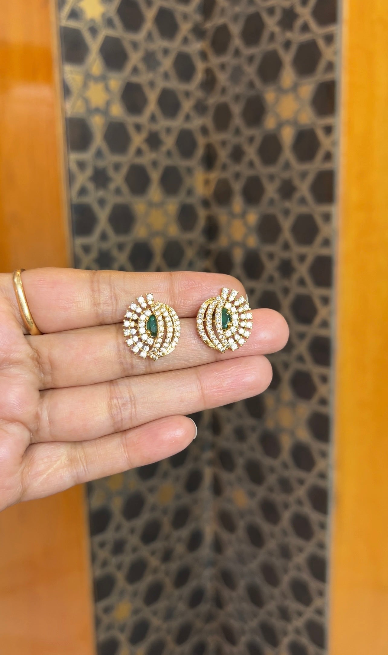 Earrings ER180