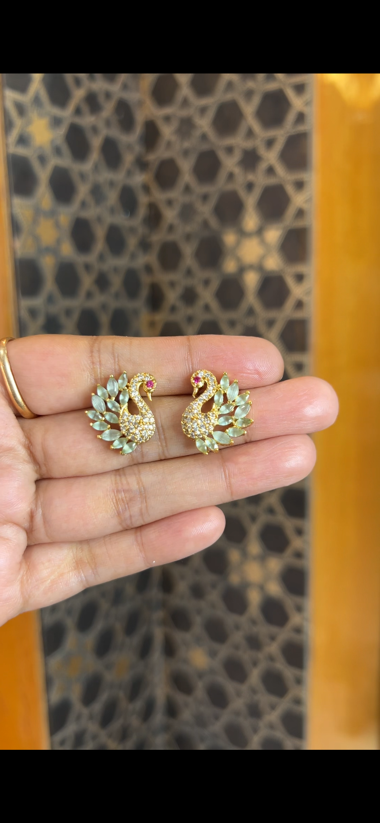 Earrings ER223
