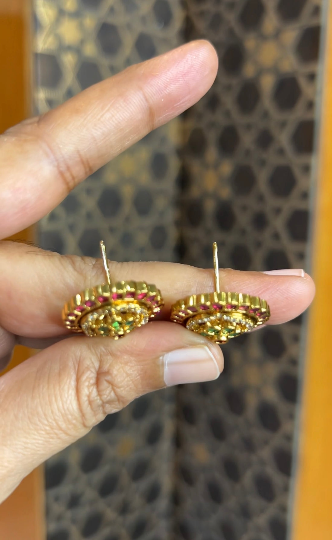 Earrings ER237
