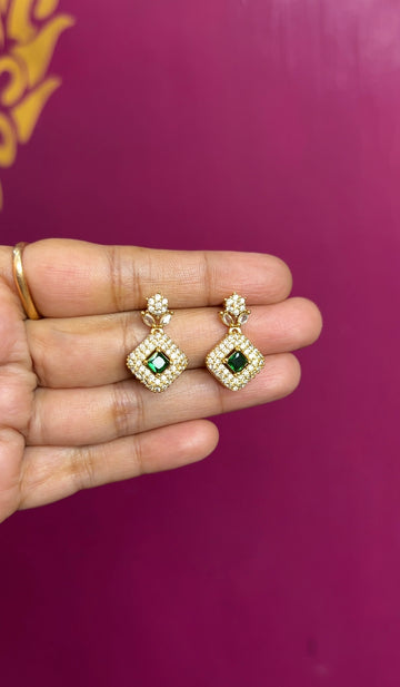 Earrings ER164