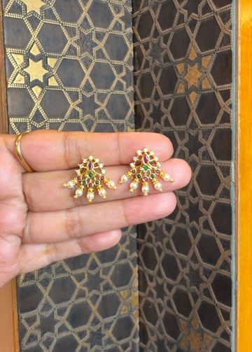 Earrings ER288