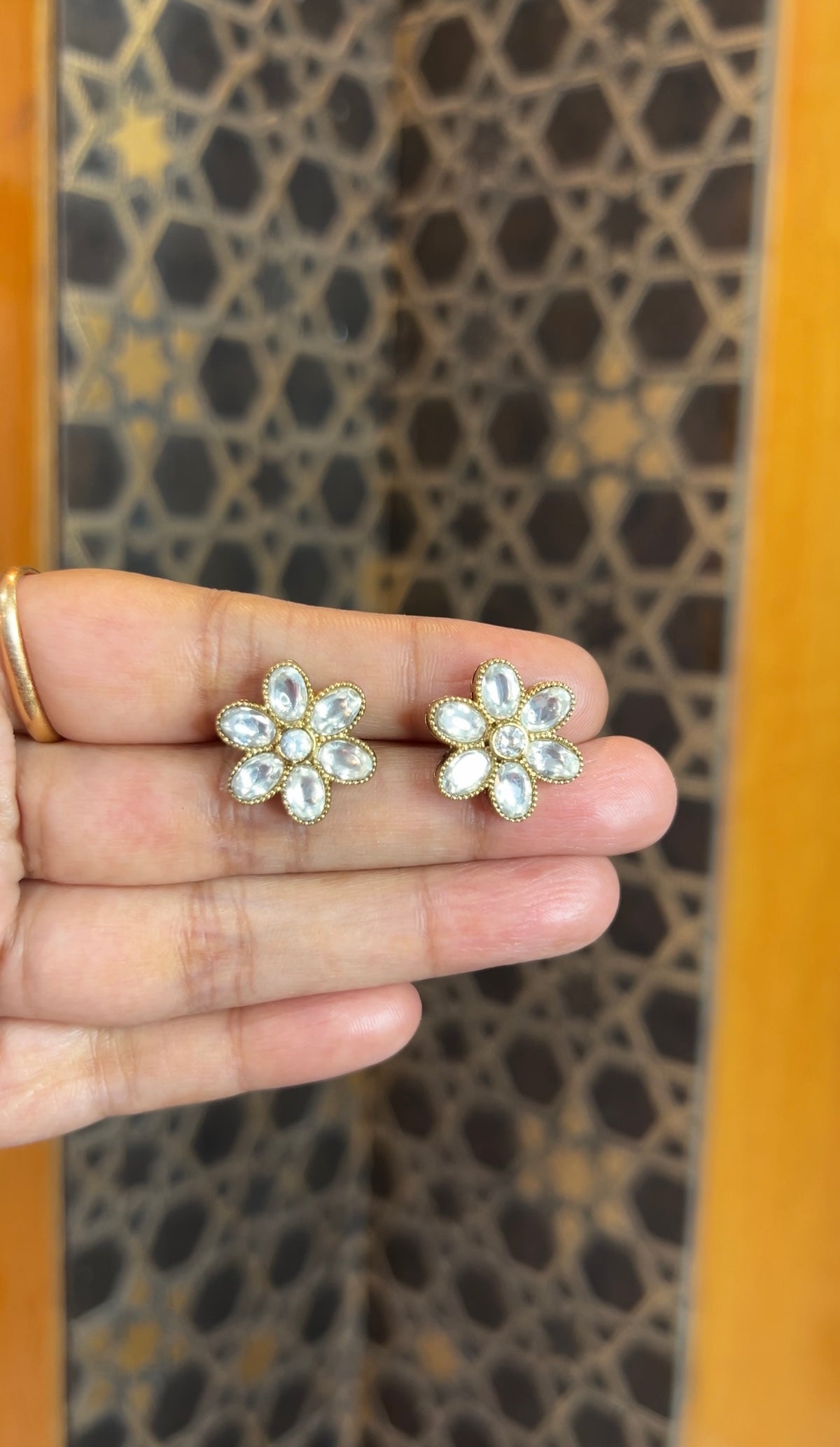 Earrings ER248