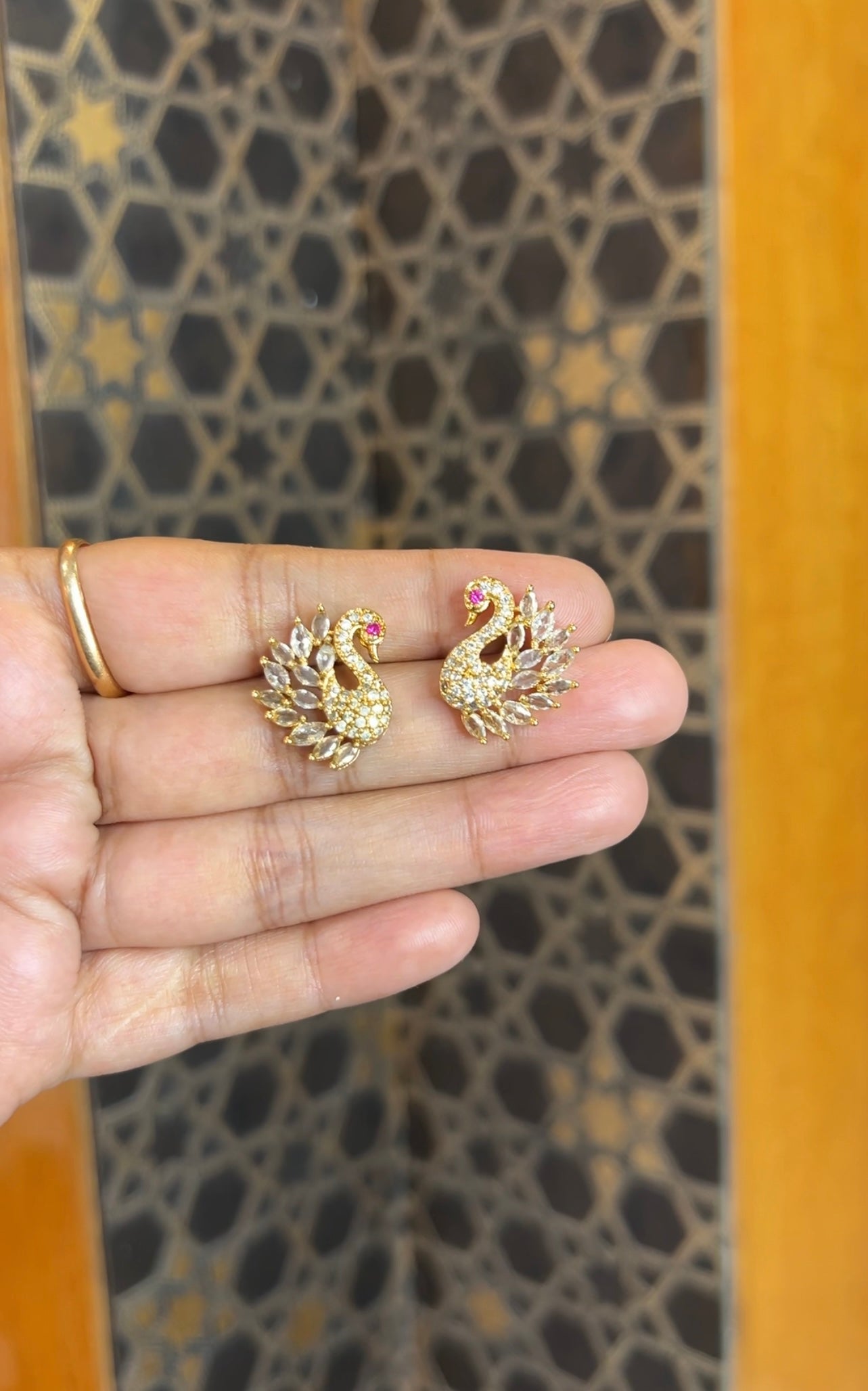 Earrings ER223