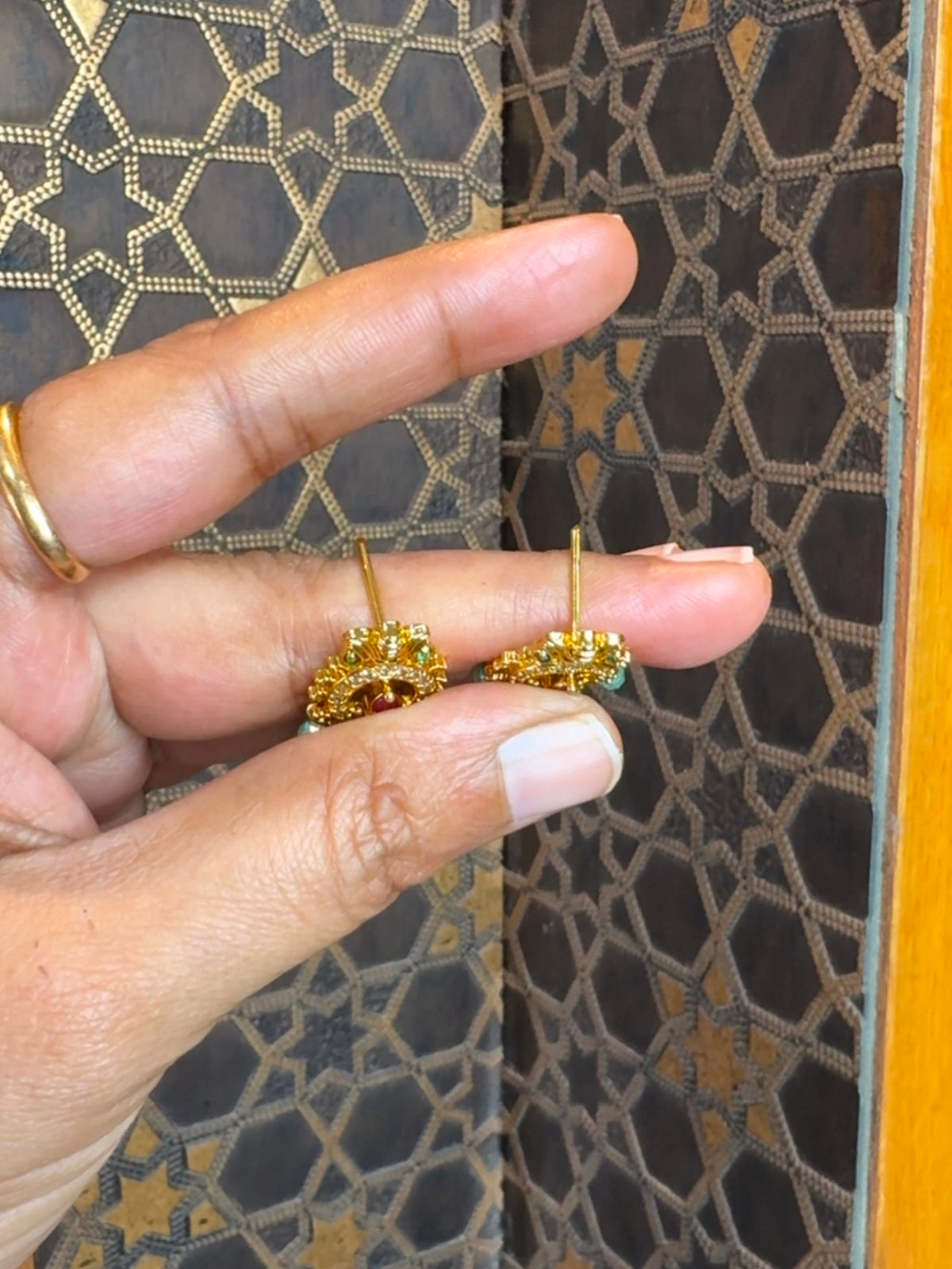 Earrings ER259