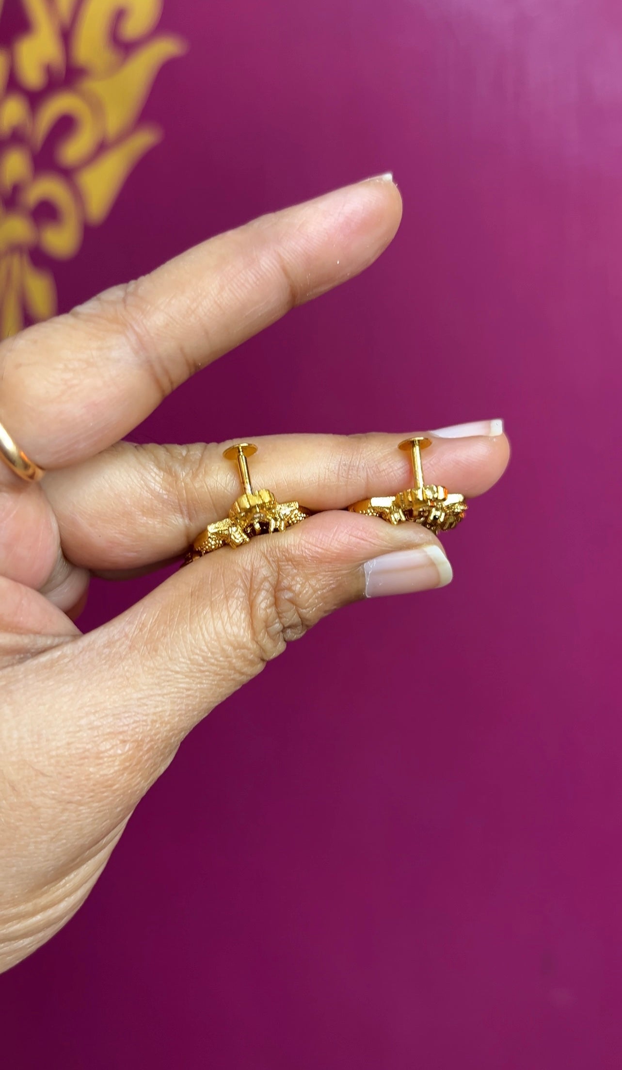 Earrings ER173