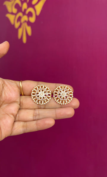Earrings ER063
