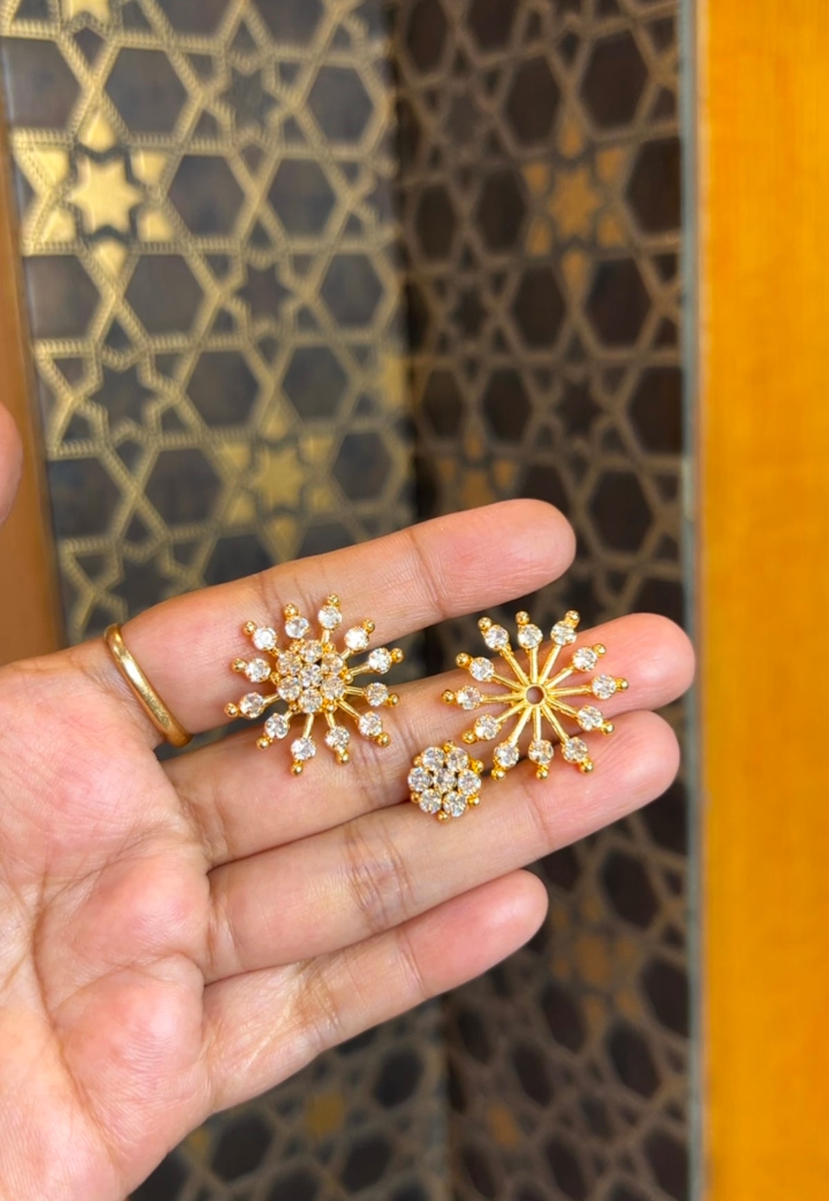 2 in 1 Earrings ER240