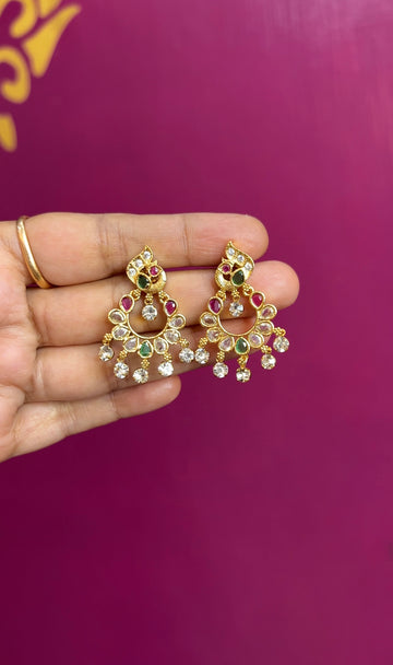 Earrings ER174