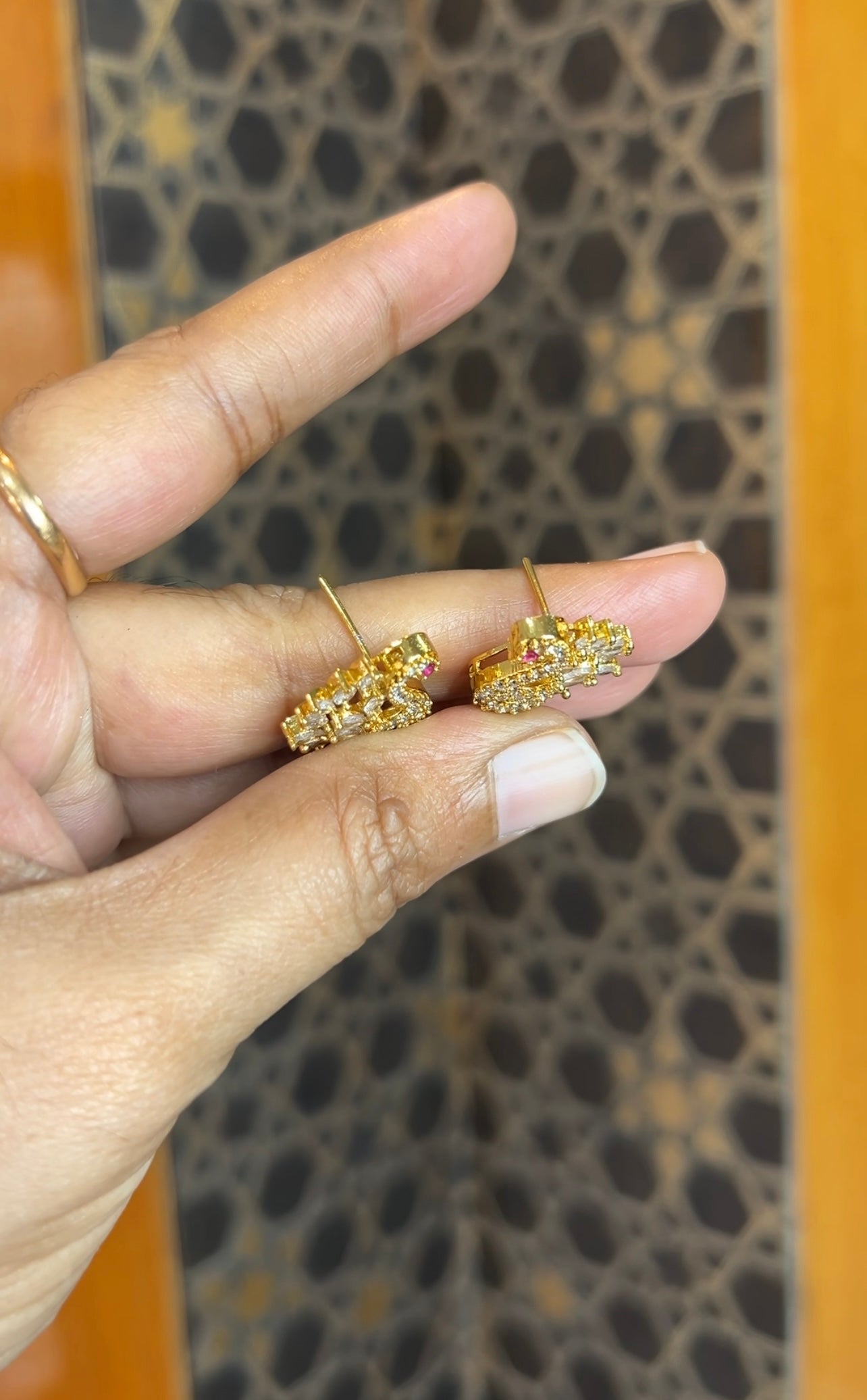 Earrings ER223