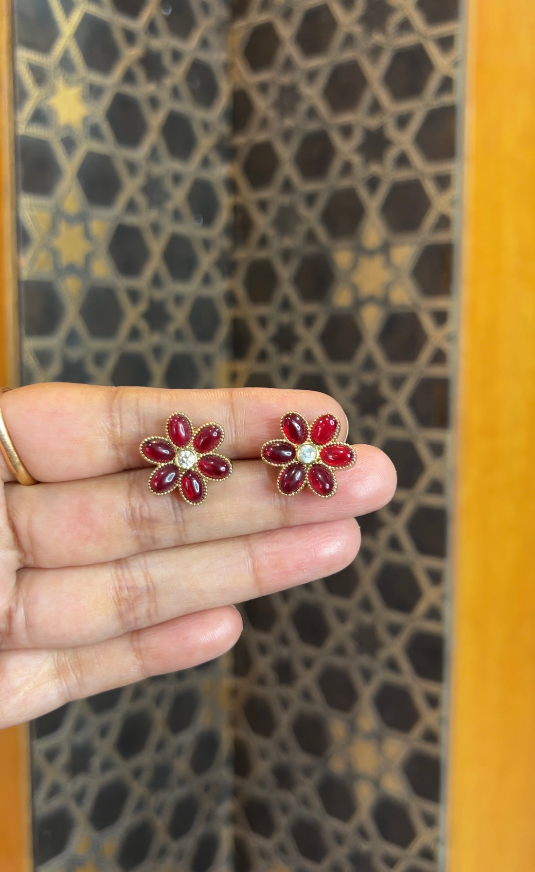 Earrings ER248