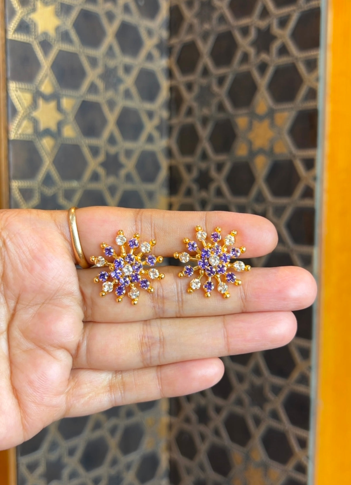 2 in 1 Earrings ER240