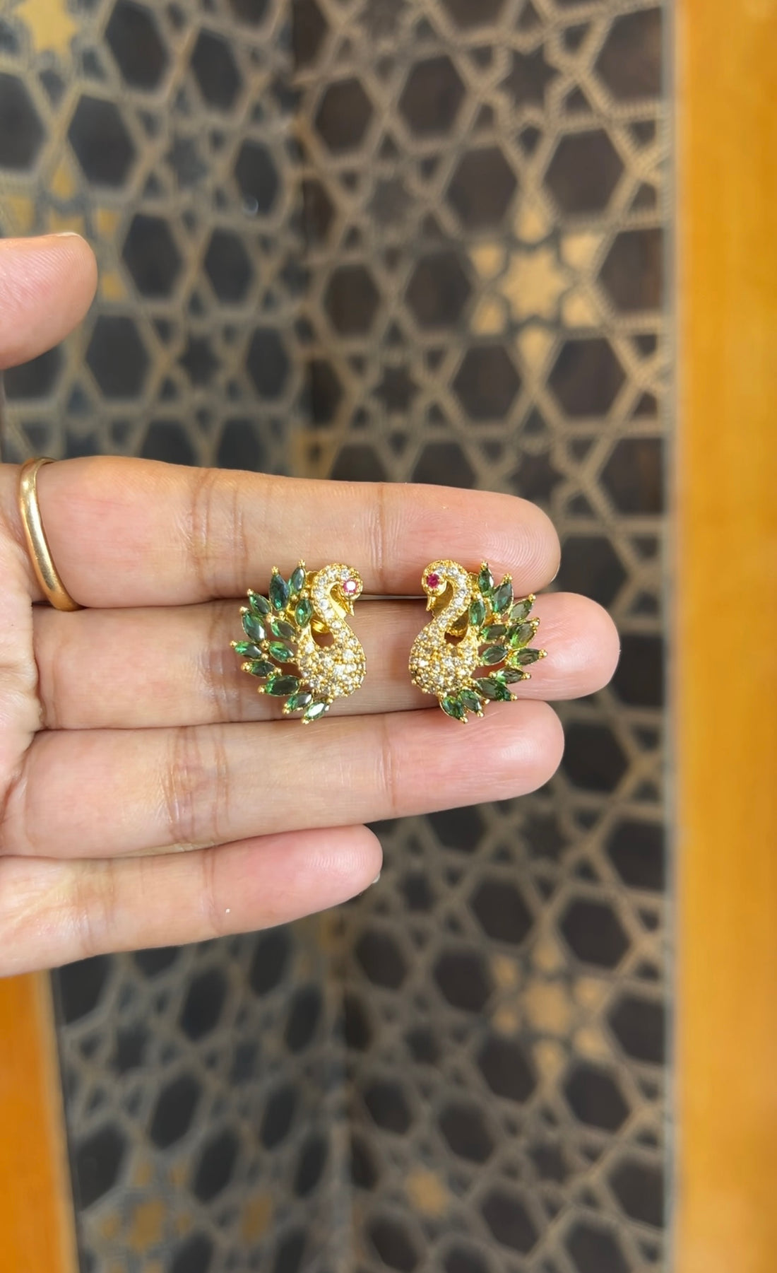 Earrings ER223