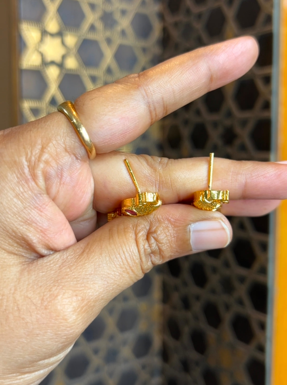 Earrings ER245