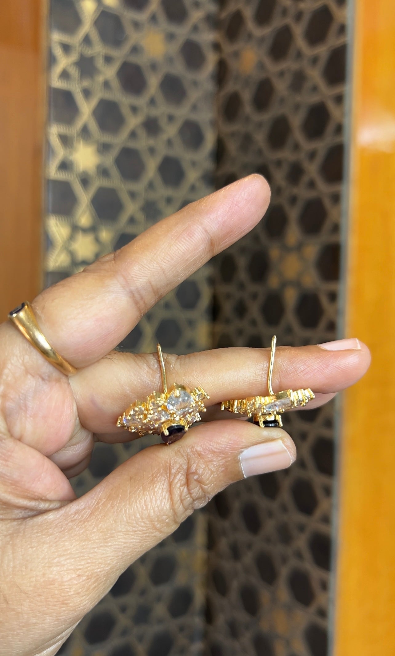 Earrings ER205