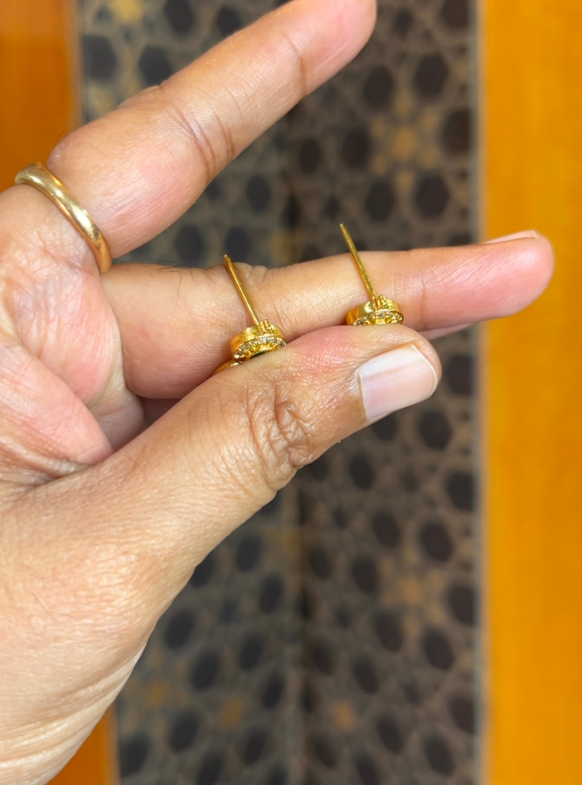Earrings ER233