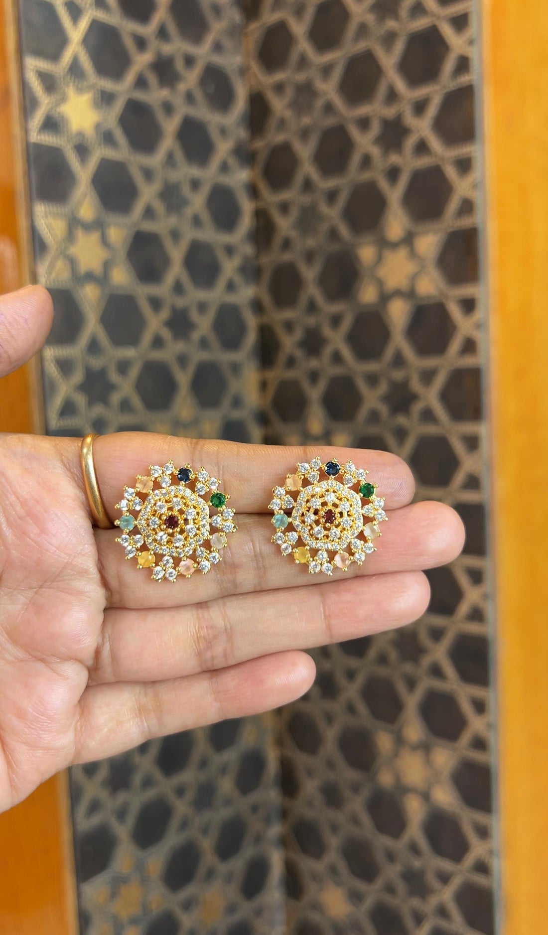Earrings ER231