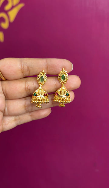 Earrings ER171