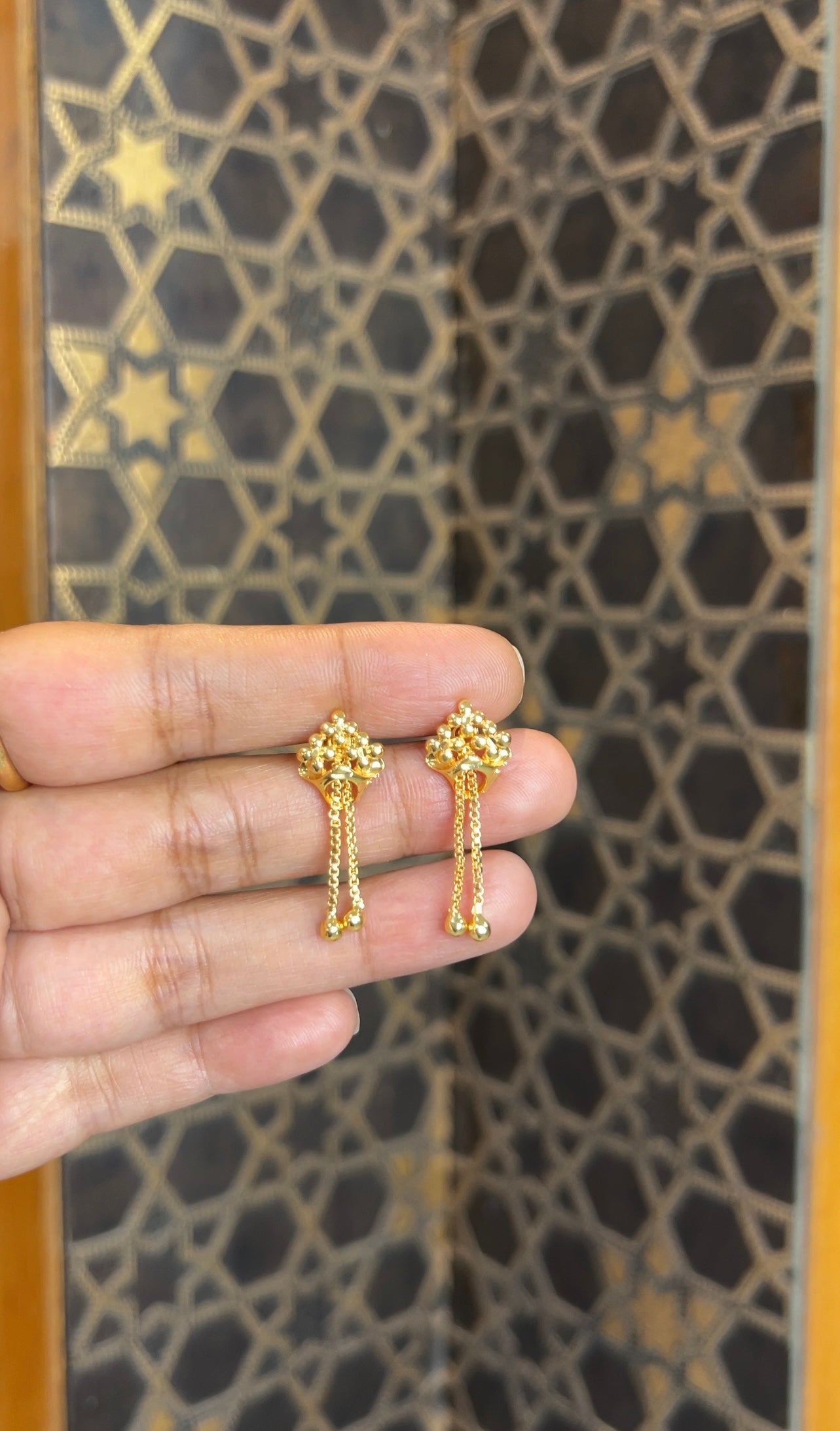 Earrings ER221
