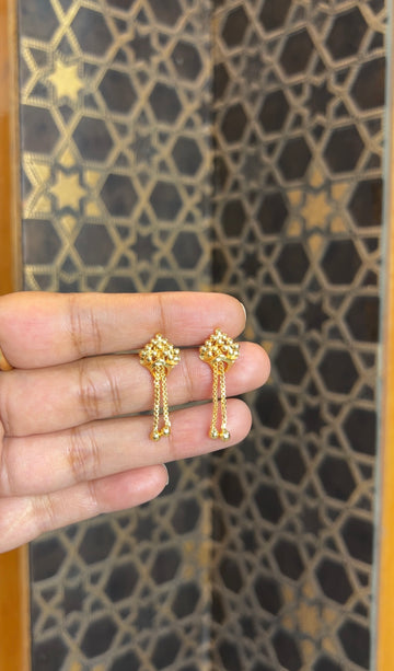 Earrings ER221