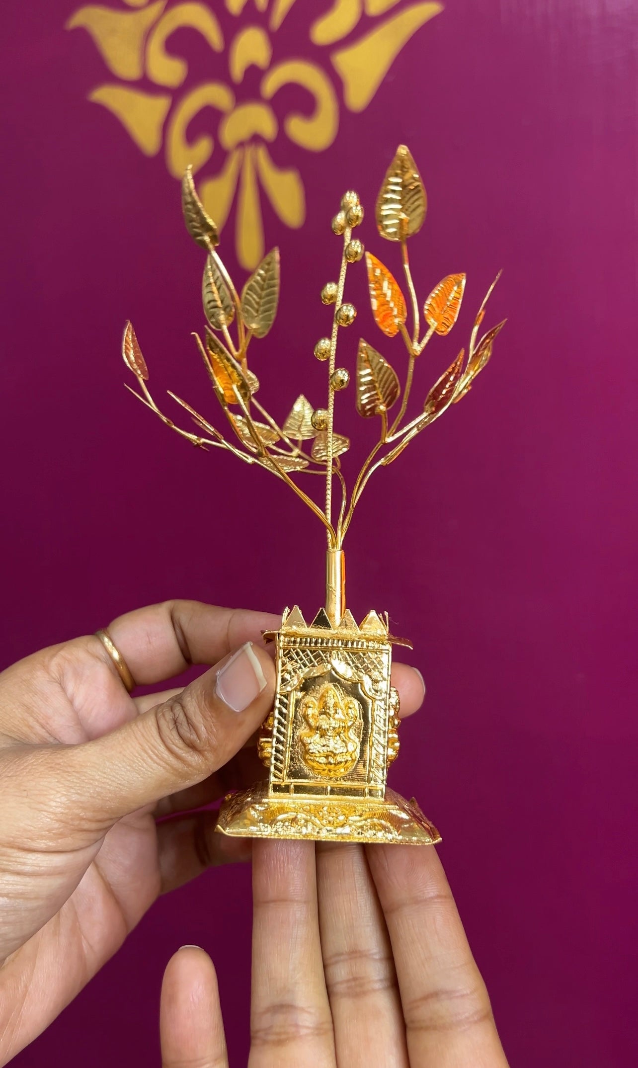 Tulasi Kota TSK001
