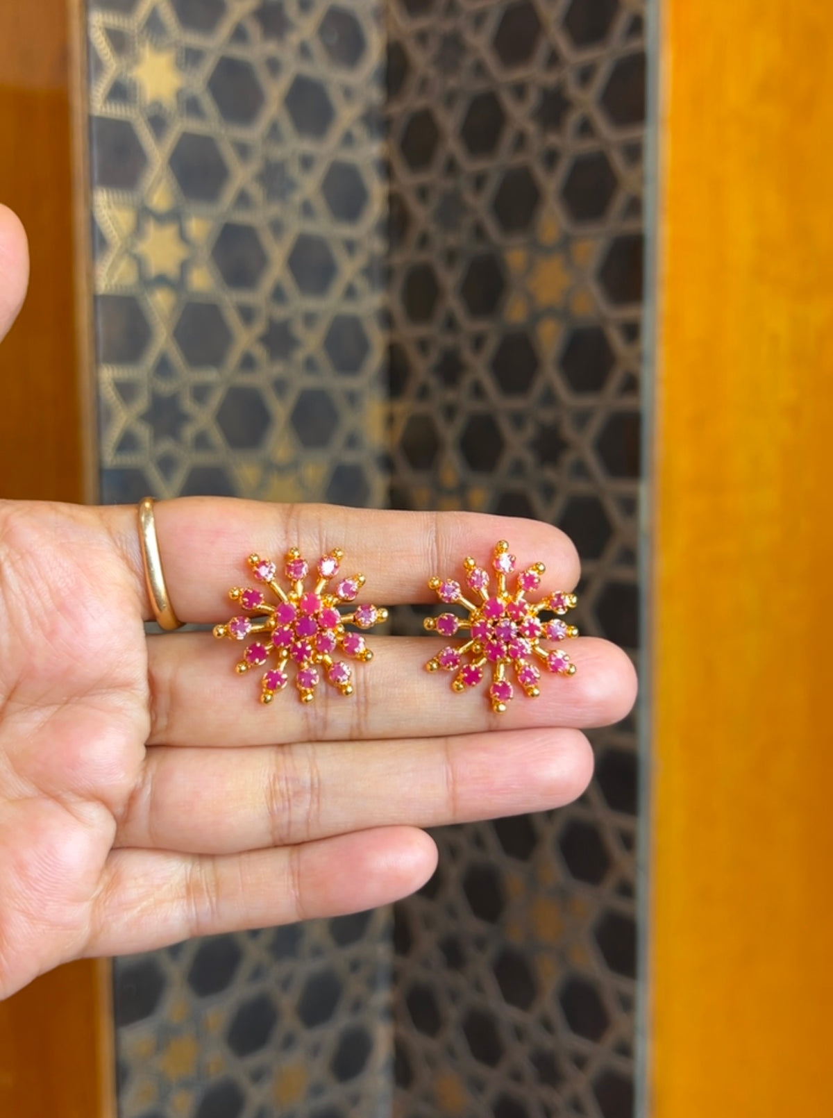 2 in 1 Earrings ER240