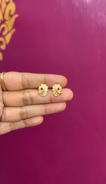 Earrings ER129
