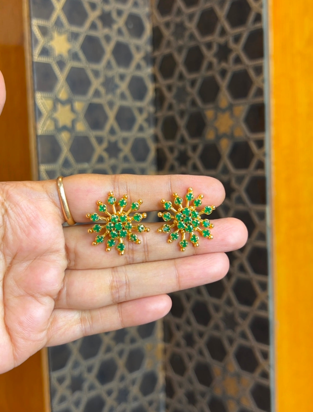 2 in 1 Earrings ER240
