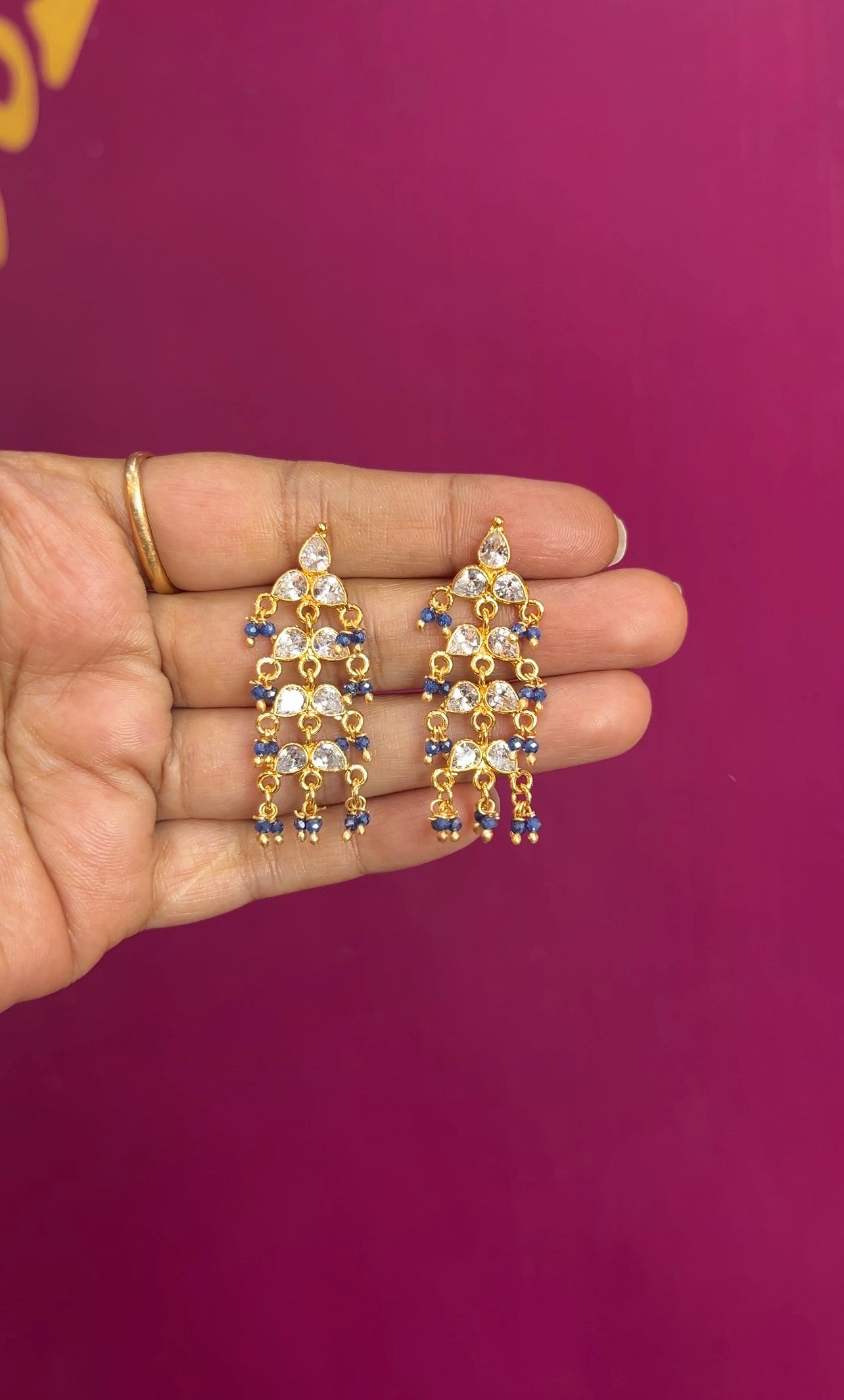 Earrings ER124