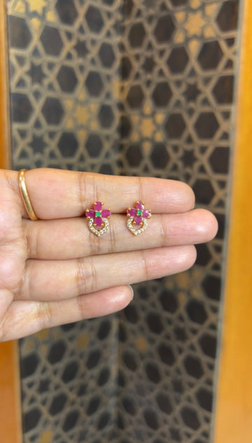 Earrings ER190