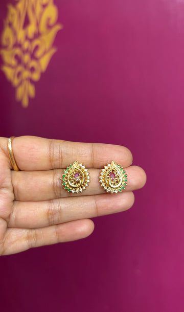 Earrings ER165