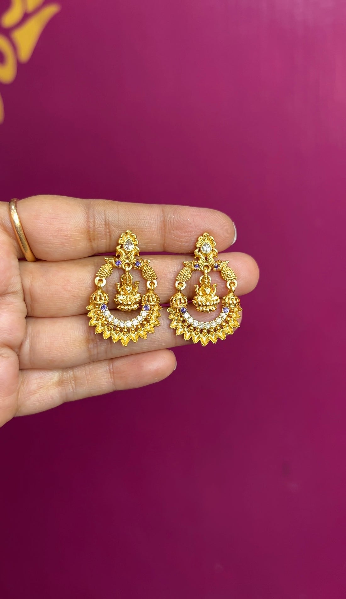 Earrings ER173