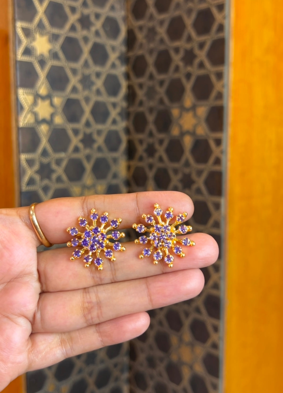 2 in 1 Earrings ER240