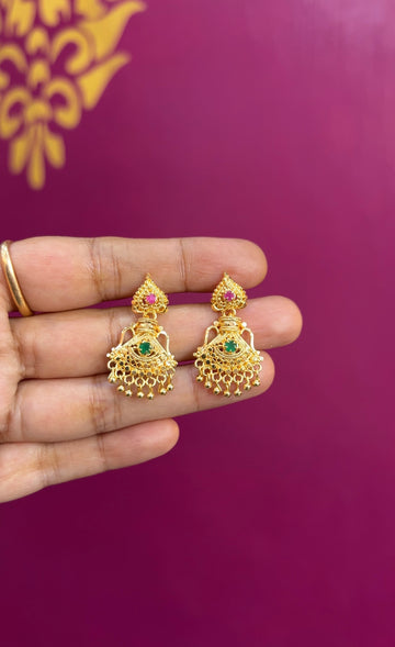 Earrings ER110