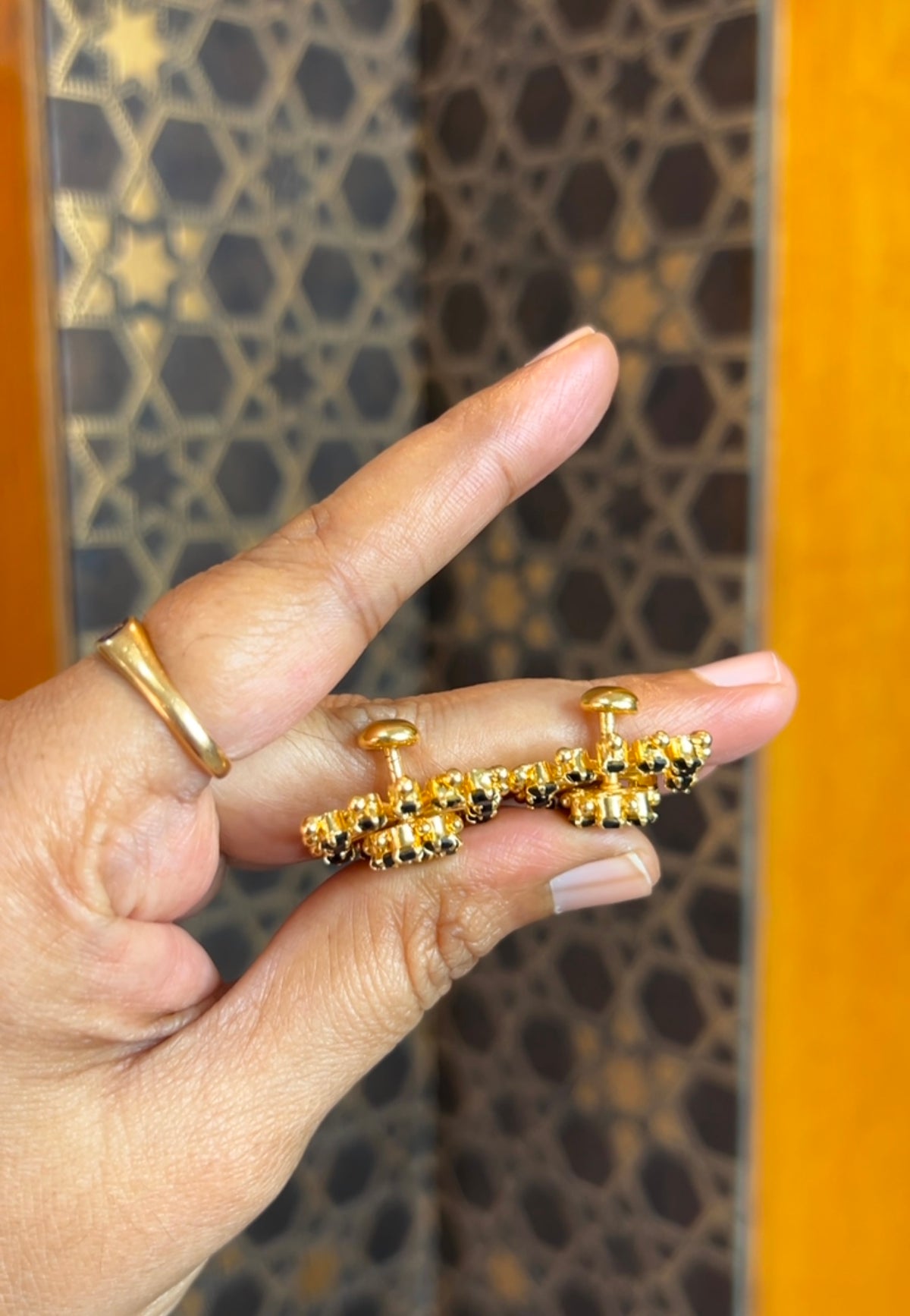 2 in 1 Earrings ER240