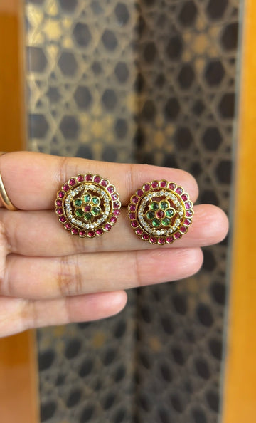 Earrings ER237