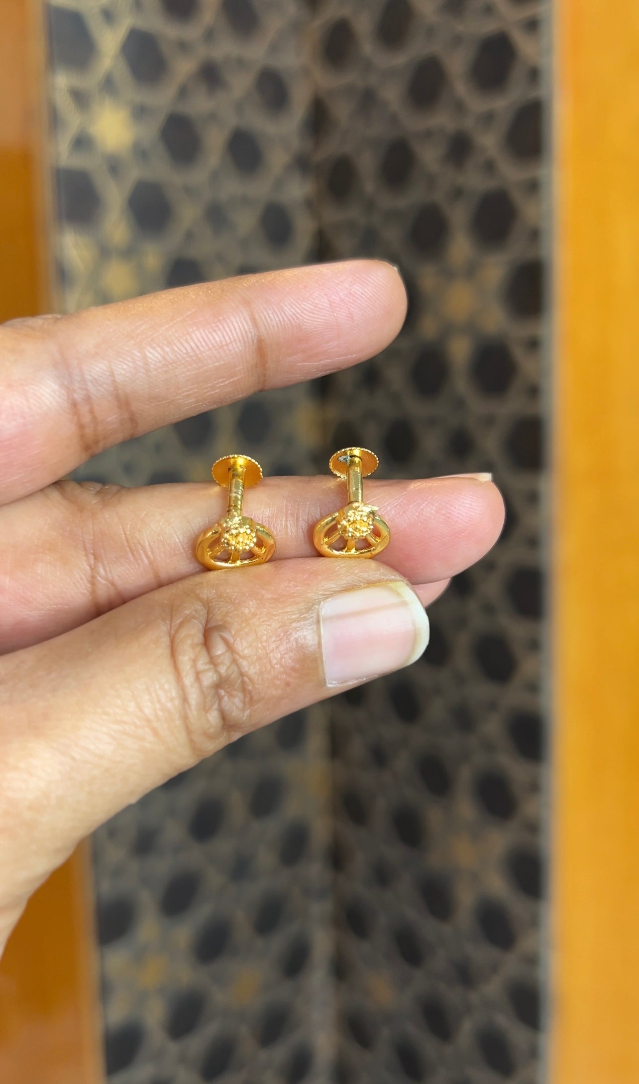 Earrings ER221