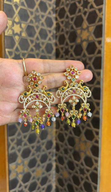 Earrings ER219