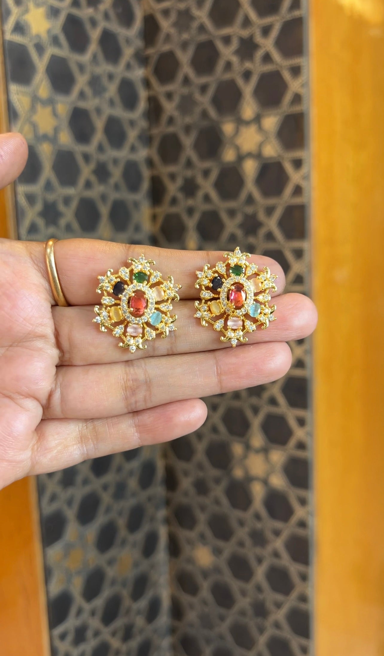 Earrings ER231